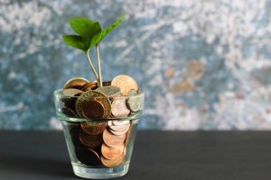 plant in a cup full of coins