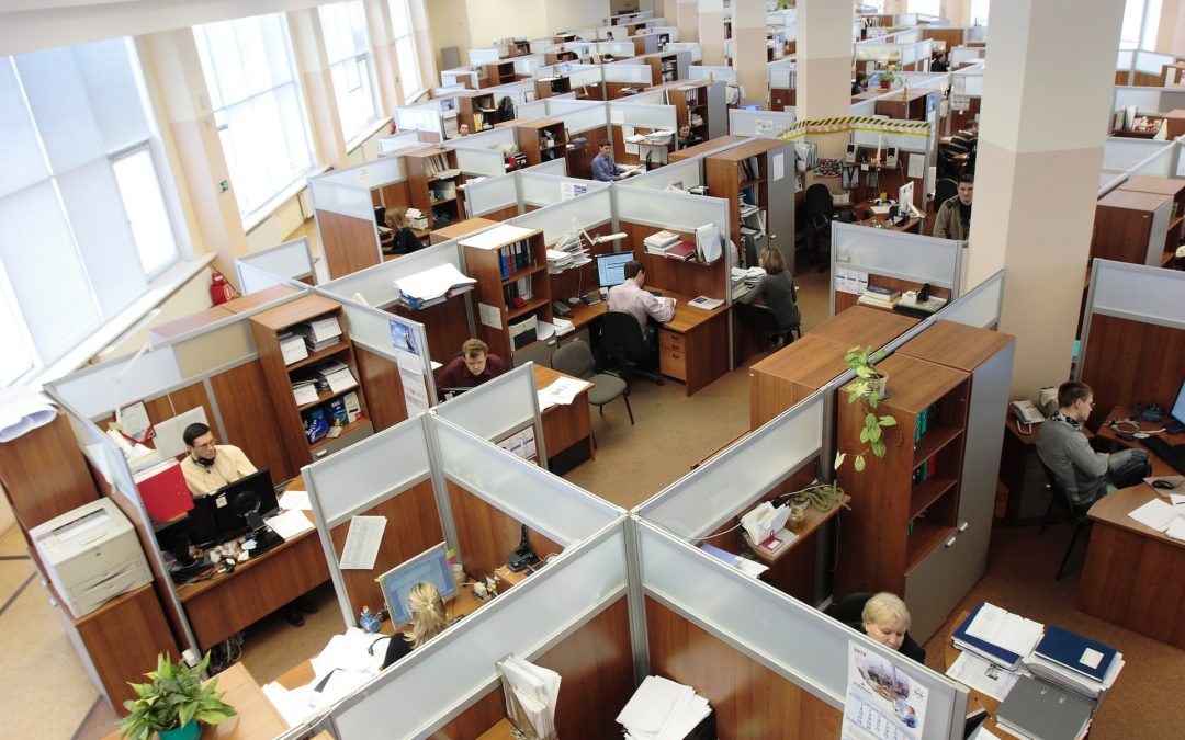 office space filled with cubicles