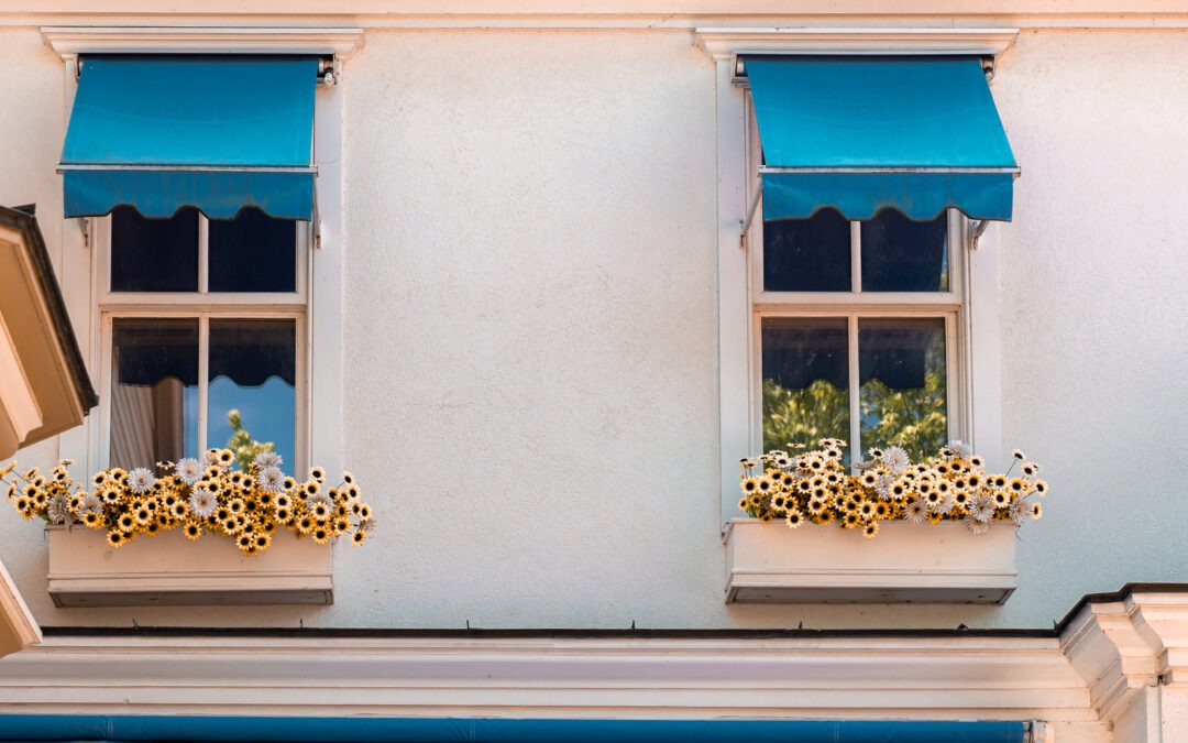 Two windows of a building with blue residential window awnings and boxes of yellow sunflowers on a sunny day