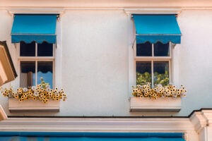 Two windows of a building with blue residential window awnings and boxes of yellow sunflowers on a sunny day